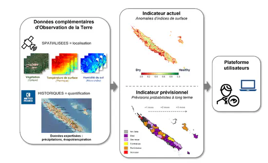 Vegetation drought monitoring by remote sensing